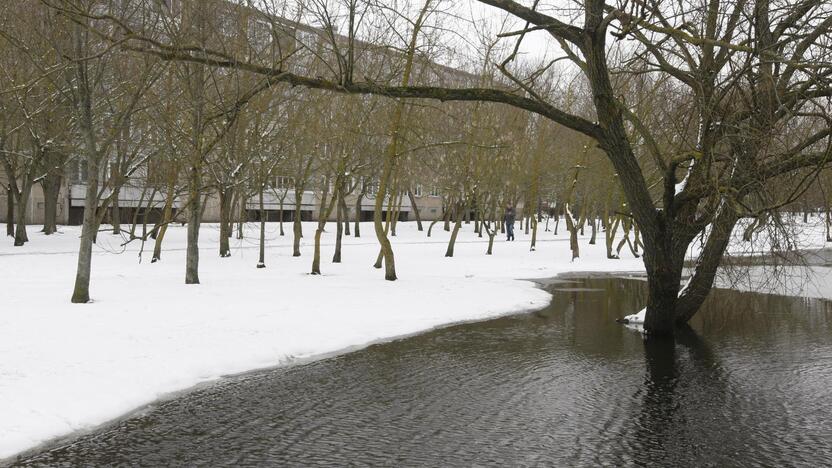 Ieškoti sliekų - į parką