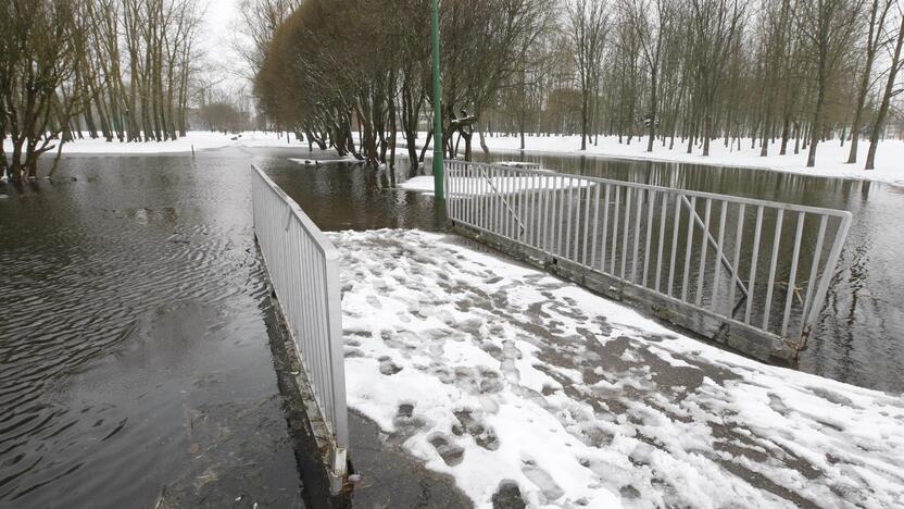 Ieškoti sliekų - į parką