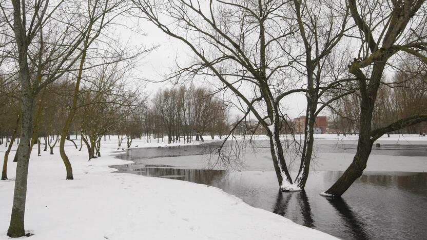 Ieškoti sliekų - į parką