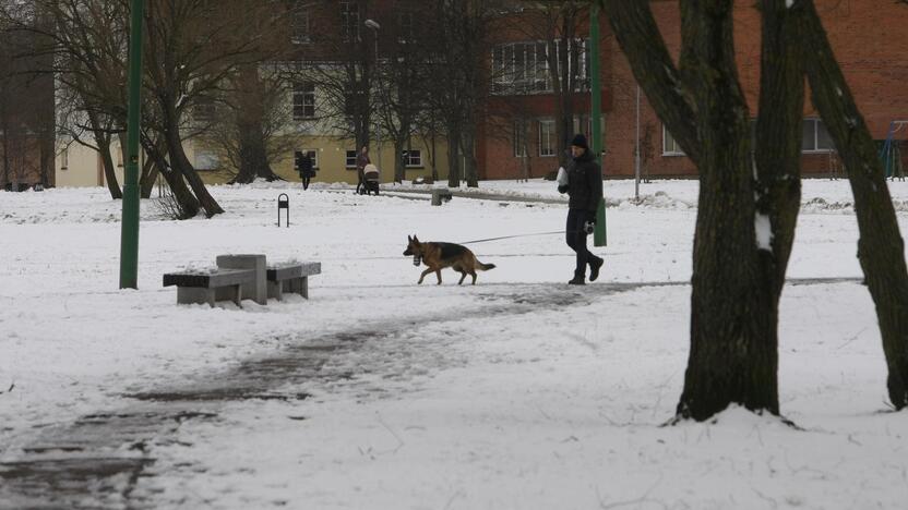 Ieškoti sliekų - į parką