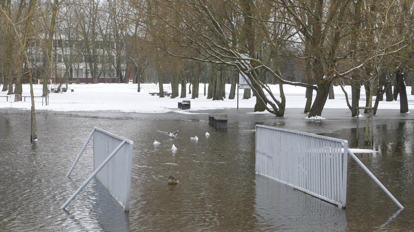 Ieškoti sliekų - į parką