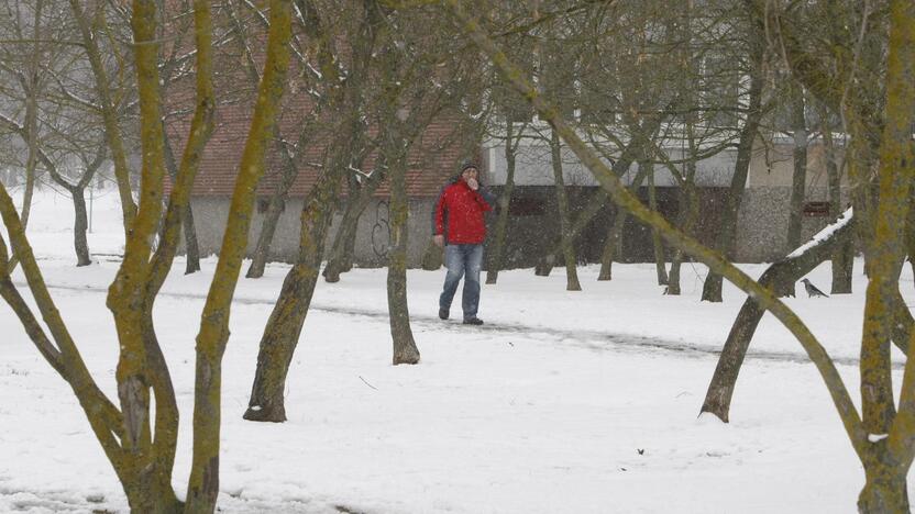 Ieškoti sliekų - į parką