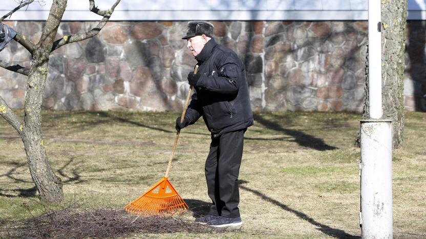 Marijos Taikos Karalienės bažnyčioje – talka