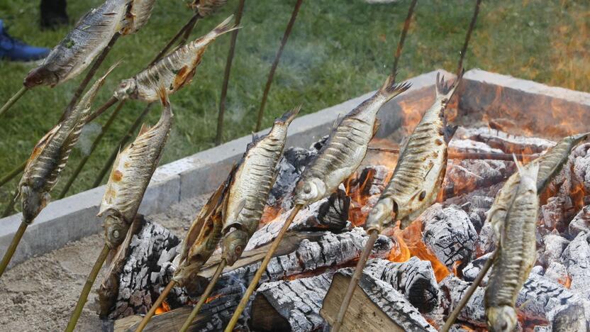 Žiobrinių šventė Nidoje