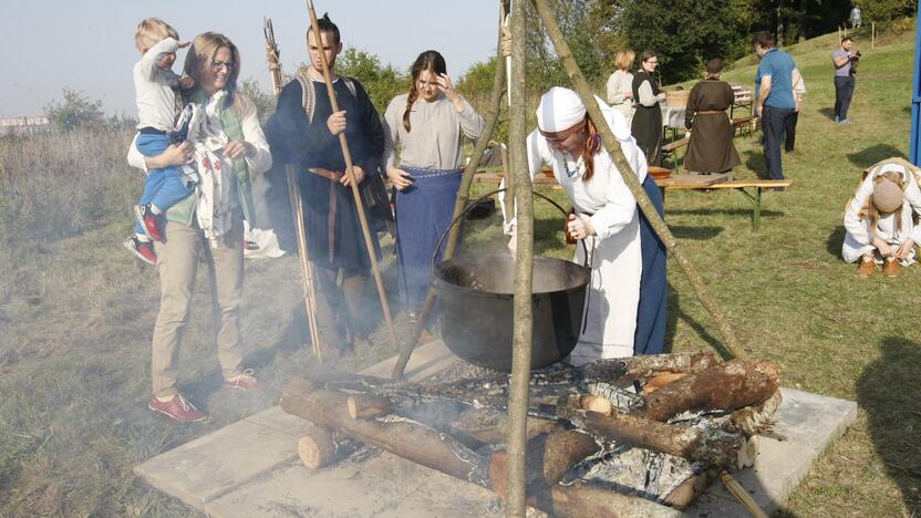 Žardės piliakalnis