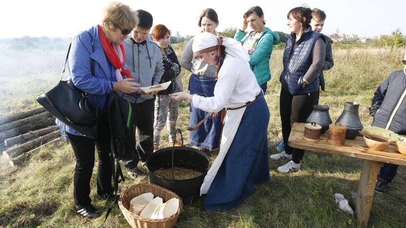 Žardės piliakalnis