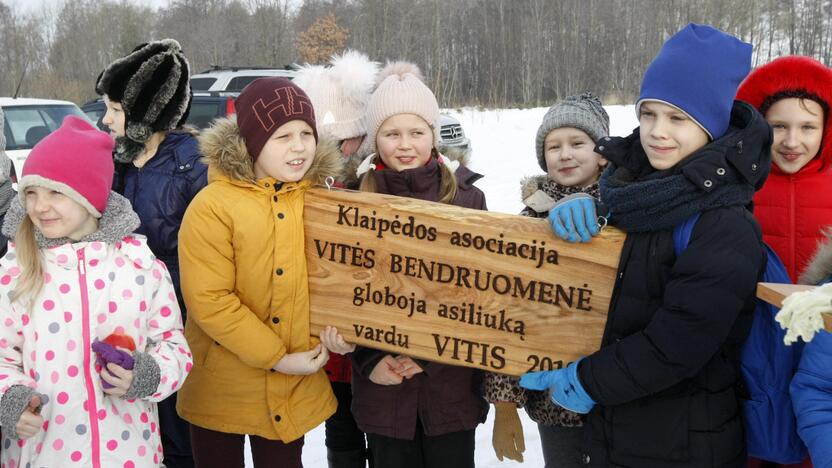 Klaipėdiečių bendruomenė ėmėsi globoti asiliuką