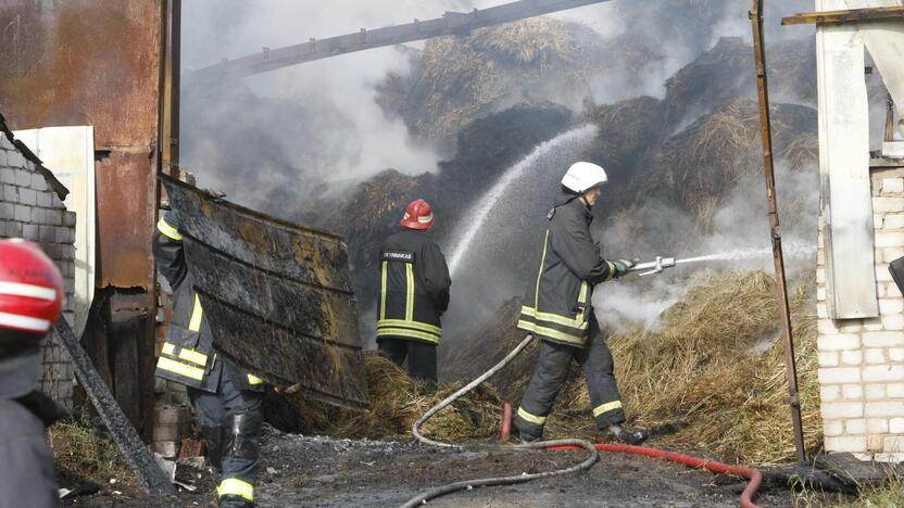 Klaipėdos rajone liepsnoja šieno prikrautas angaras