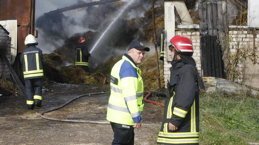 Klaipėdos rajone liepsnoja šieno prikrautas angaras