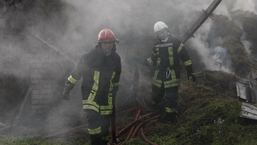 Klaipėdos rajone liepsnoja šieno prikrautas angaras