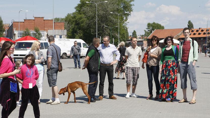 Skulptūros "Bučinys" atidengimas