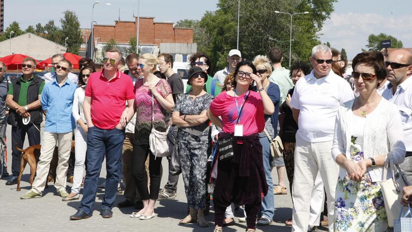 Skulptūros "Bučinys" atidengimas