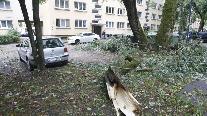 Klaipėdoje siautėja štormas: virsta medžiai, ugniagesiai vos spėja suktis