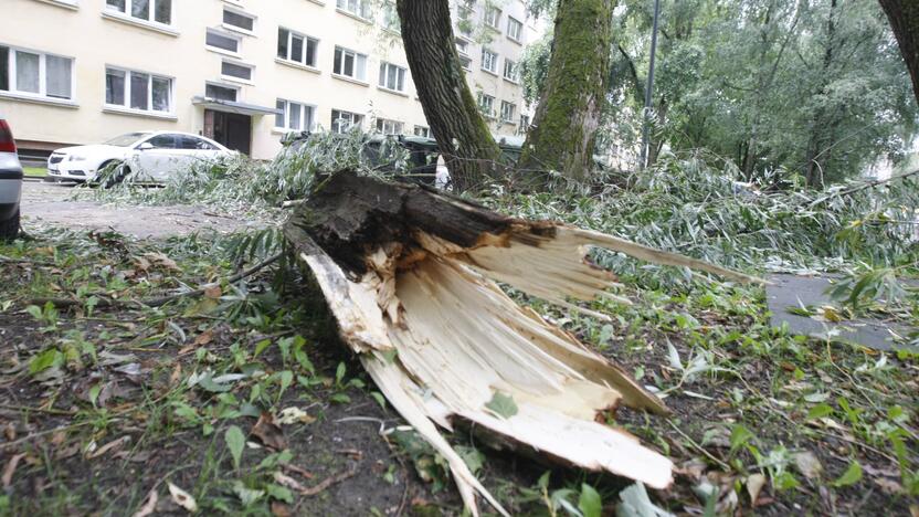 Klaipėdoje siautėja štormas: virsta medžiai, ugniagesiai vos spėja suktis