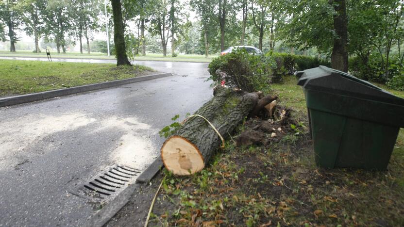 Klaipėdoje siautėja štormas: virsta medžiai, ugniagesiai vos spėja suktis