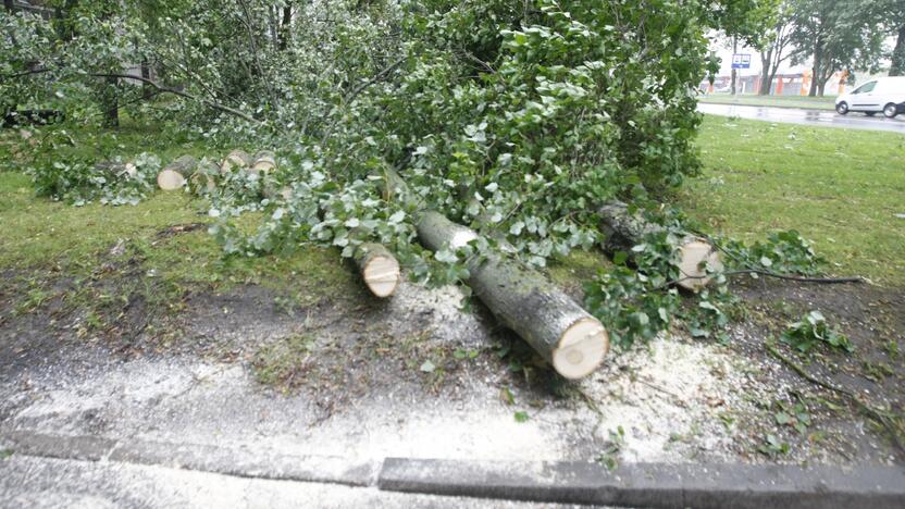 Klaipėdoje siautėja štormas: virsta medžiai, ugniagesiai vos spėja suktis