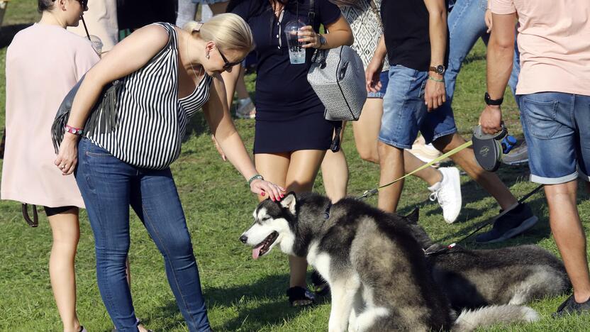 „Laisvės pikniko“ vakarinė dalis