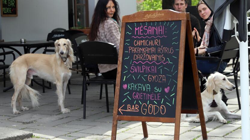 Karantinas tirpsta lauko kavinėse