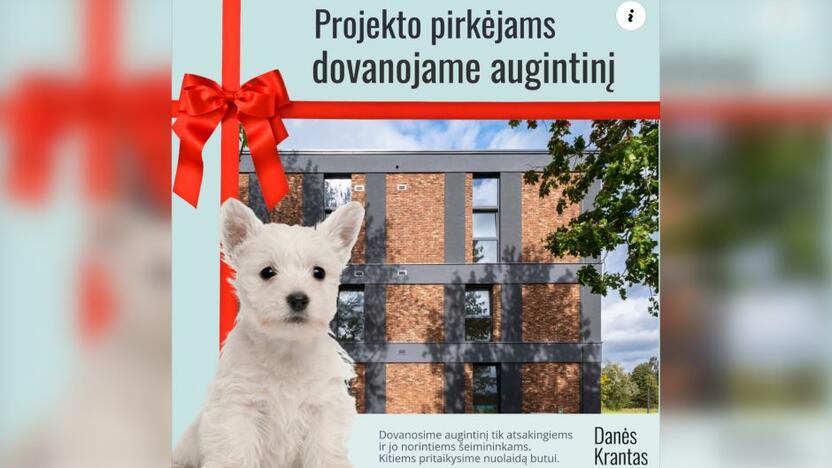 Pasiūlymas: įsigijusiems butą žmonėms dovanų siūloma įteikti šuniuką, o jo atsisakius, žadama nuolaida.