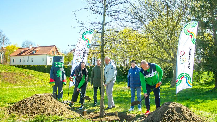 Simbolis: Kaune vyksiančią Olimpinę dieną įprasmins lietuviškas ąžuolas.