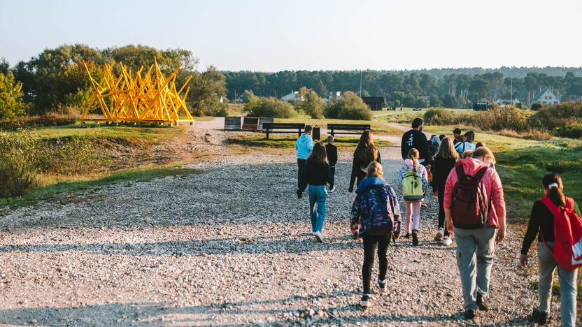 Priemonė: iššūkiui stebėti ir žingsniams skaičiuoti akcijos organizatoriai pasirinko jau daugeliui žinomą programėlę „Walk15“.