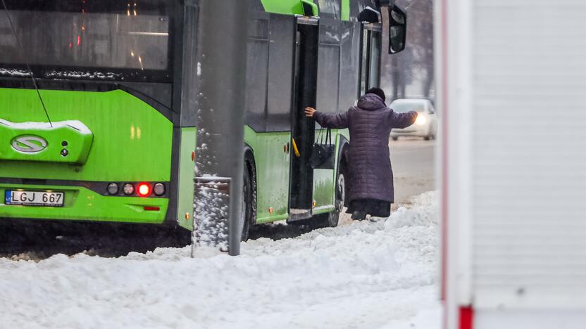 Kaunas po stipraus snygio