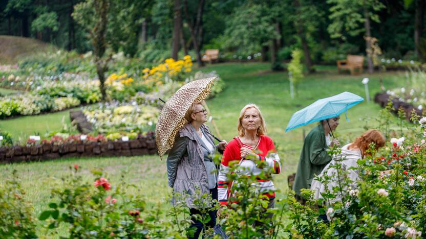 „Kvapų naktis“ VDU Botanikos sode