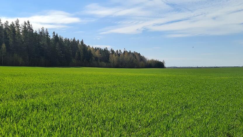 Apie pasėlių deklaravimo naujoves ūkininkai informuojami įvairiomis priemonėmis. 