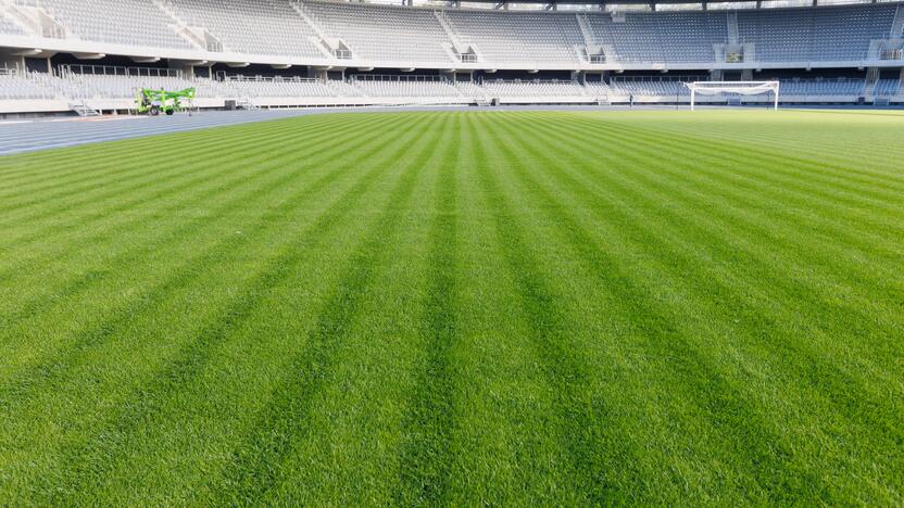 Dariaus ir Girėno stadionas