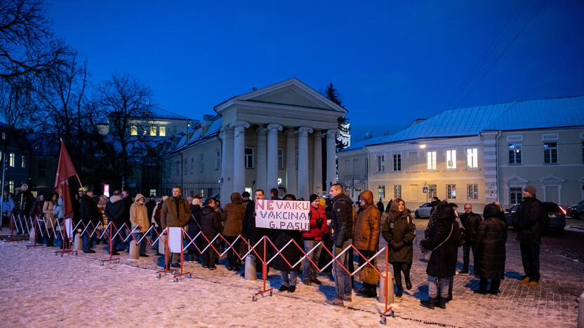 „Basų mamų“ protestas prieš galimybių pasą vaikams