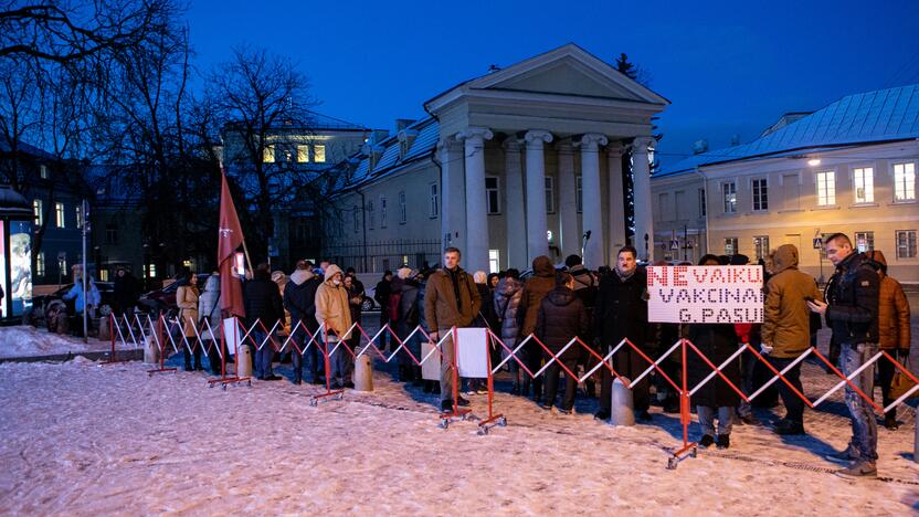 „Basų mamų“ protestas prieš galimybių pasą vaikams