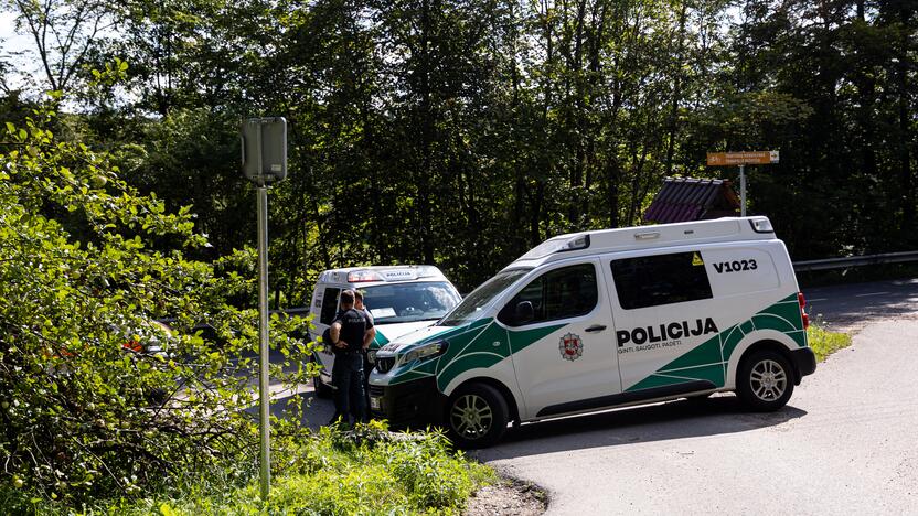  Vilniuje, Neryje, gelbėtojams nepavyko išgelbėti dviejų mažylių