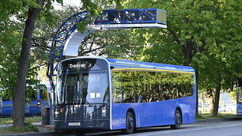 Patirtis: modernūs „Dancer“ autobusai jau trejus metus sėkmingai važinėja Klaipėdos gatvėmis. 