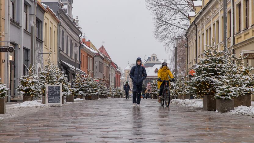 Vilniaus gatvės darbai