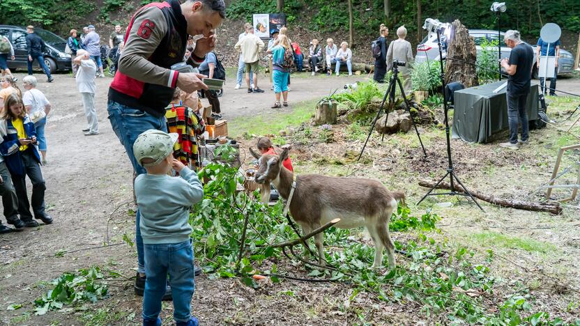 Joninės Kaune: Aleksote – šauliškai, Šančiuose – Fluxus stiliumi