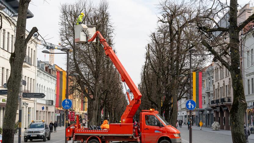 Laisvės alėjoje kertamos liepos