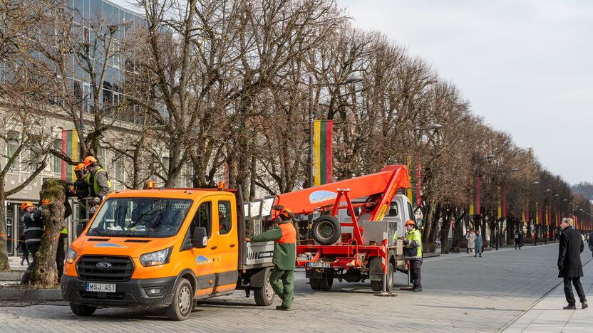 Laisvės alėjoje kertamos liepos