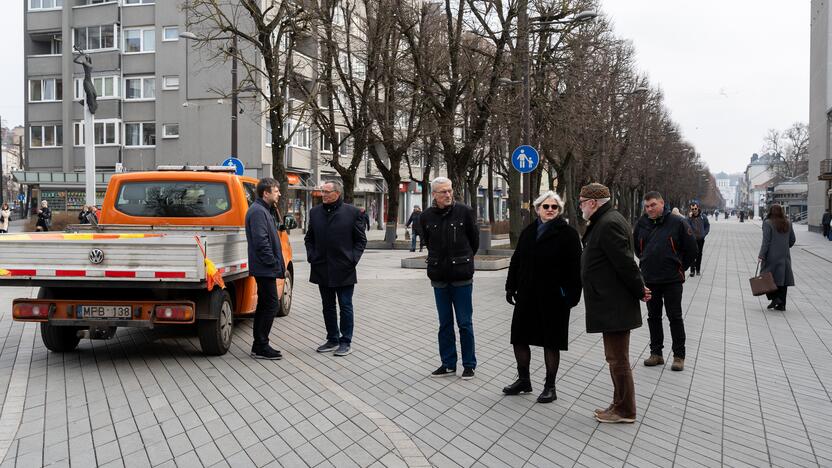 Laisvės alėjoje sodinamos liepos