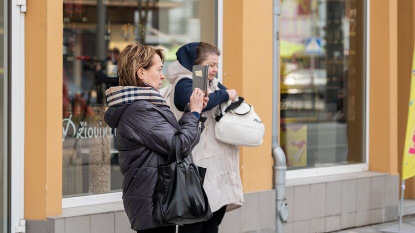 Laisvės alėjoje sodinamos liepos