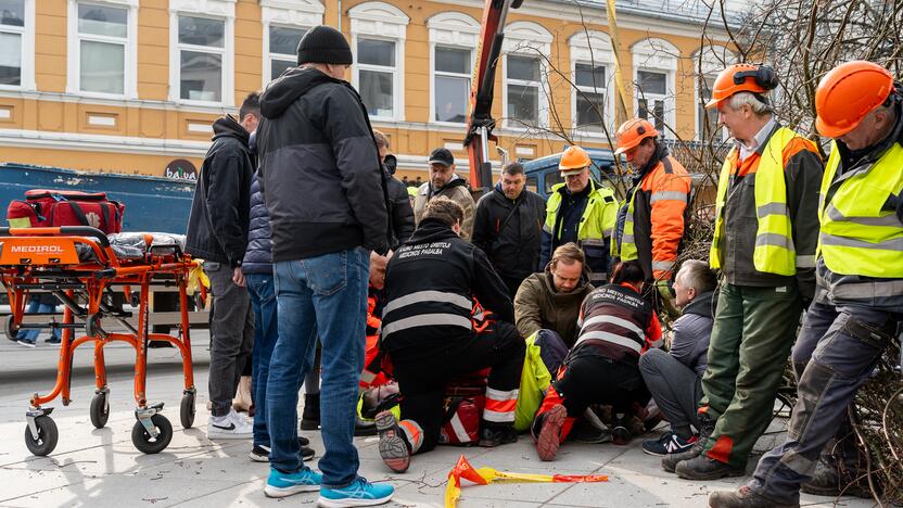 Laisvės alėjoje ant darbininko nuvirto liepa