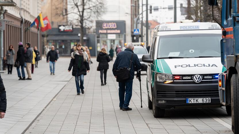 Laisvės alėjoje ant darbininko nuvirto liepa