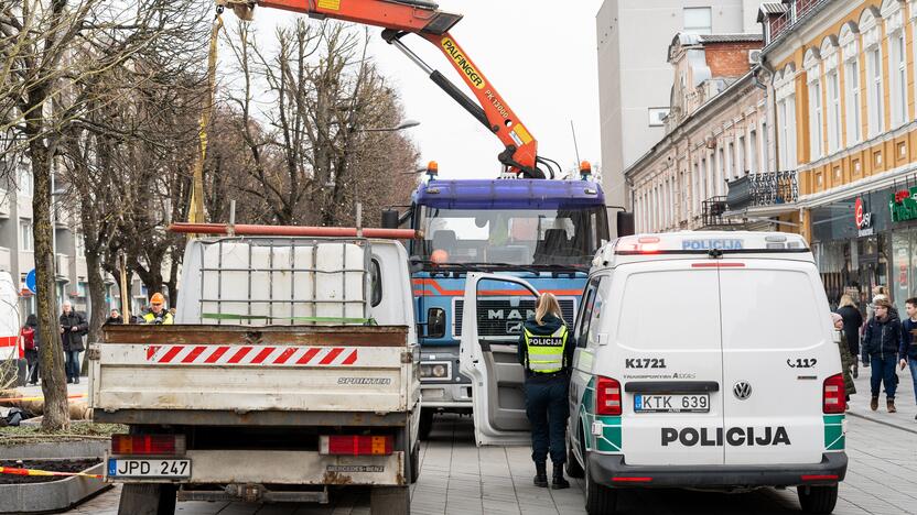 Laisvės alėjoje ant darbininko nuvirto liepa