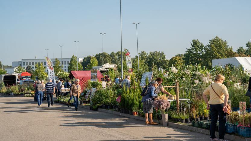 Gyvulininkystės paroda VDU Žemės ūkio akademijoje