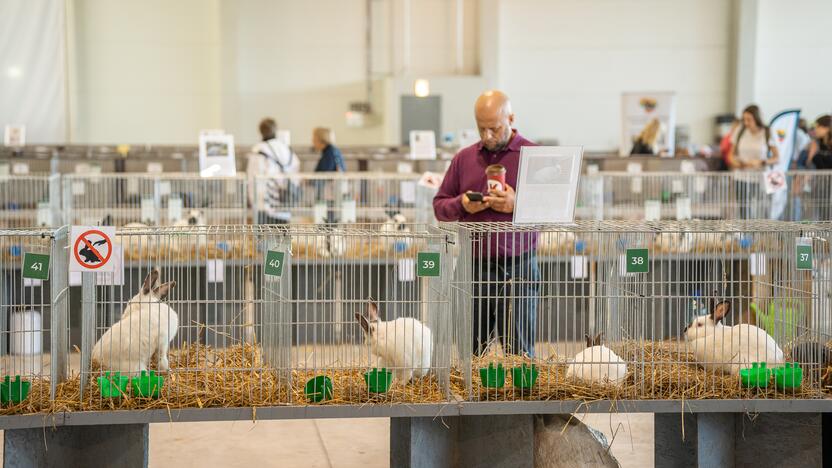 Gyvulininkystės paroda VDU Žemės ūkio akademijoje