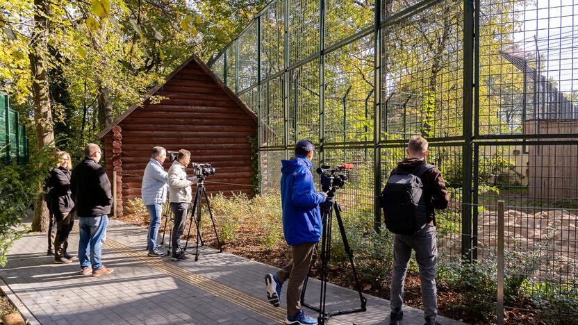 Lietuvos zoologijos sode apsigyveno tigrė