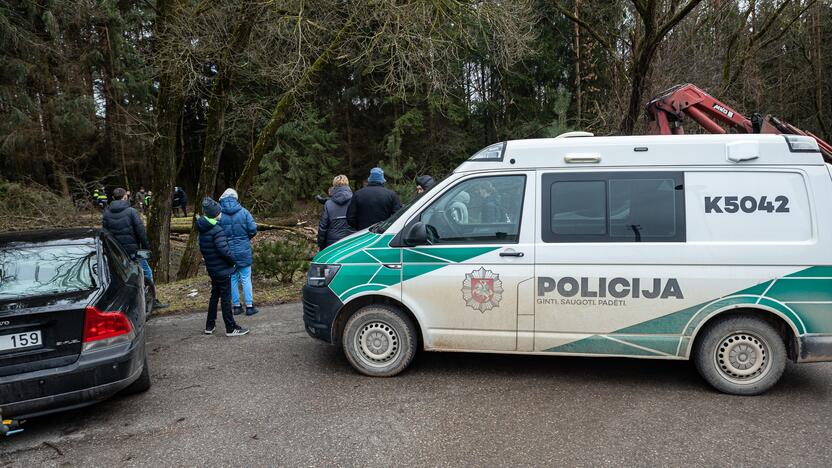 Kauno rajone kertami medžiai