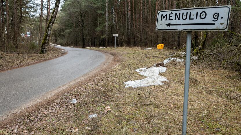 Kauno rajone kertami medžiai