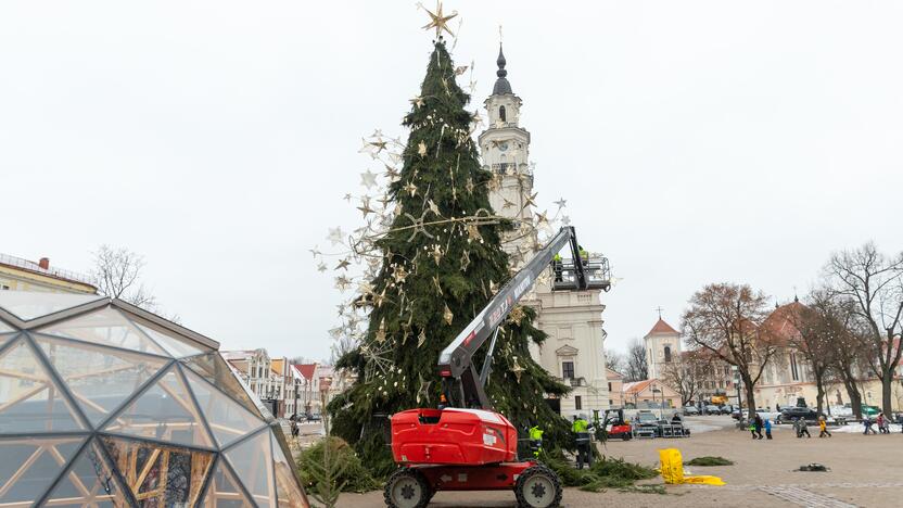 Nupuošiama Kauno eglė