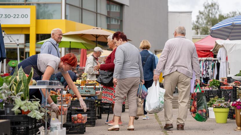 Kauno turgavietėse pridygo baravykų