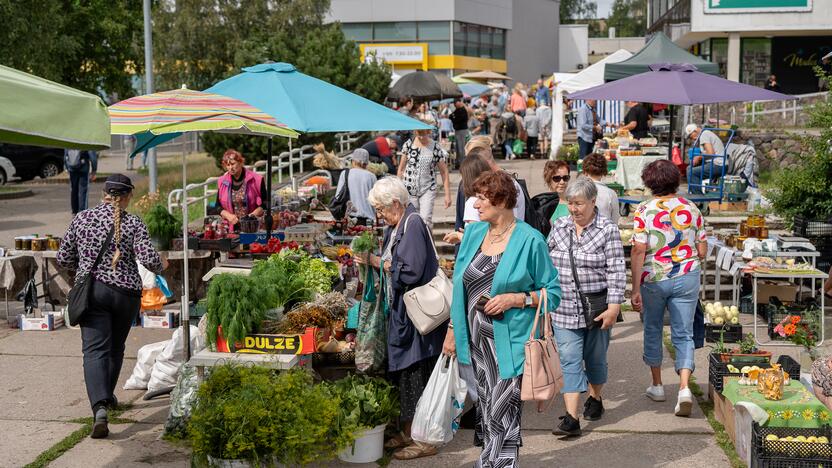 Kauno turgavietėse pridygo baravykų